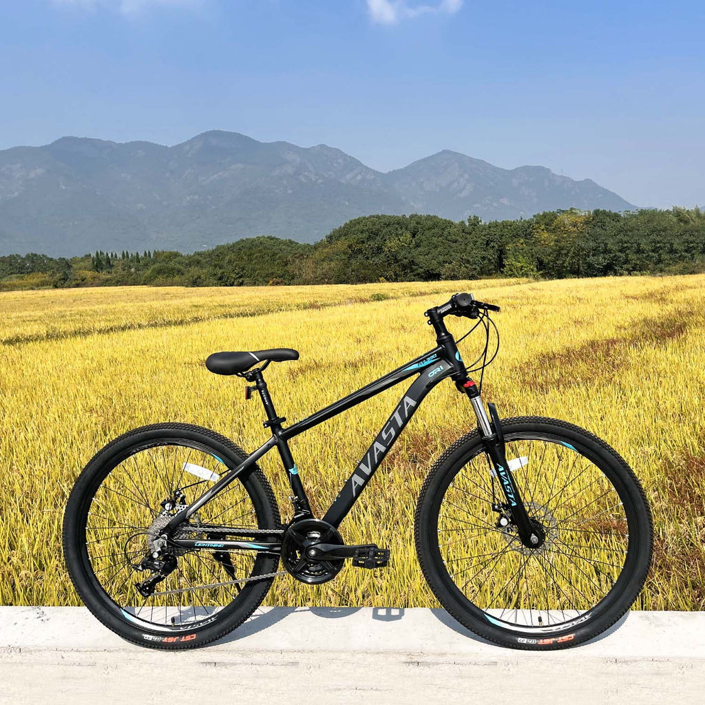 21-Speeds 26-Inch Wheels Aluminum Frame Disc Brakes Mountain Bike R3297