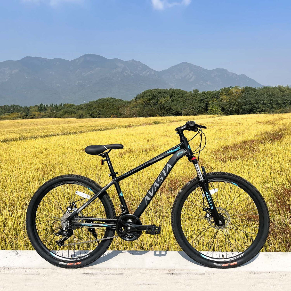 21-Speeds 26-Inch Wheels Aluminum Frame Disc Brakes Mountain Bike R3297
