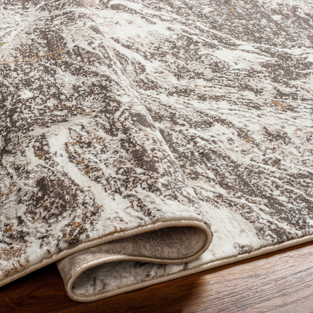 Gray Brown 9'2" x 12' Area Rug O1196