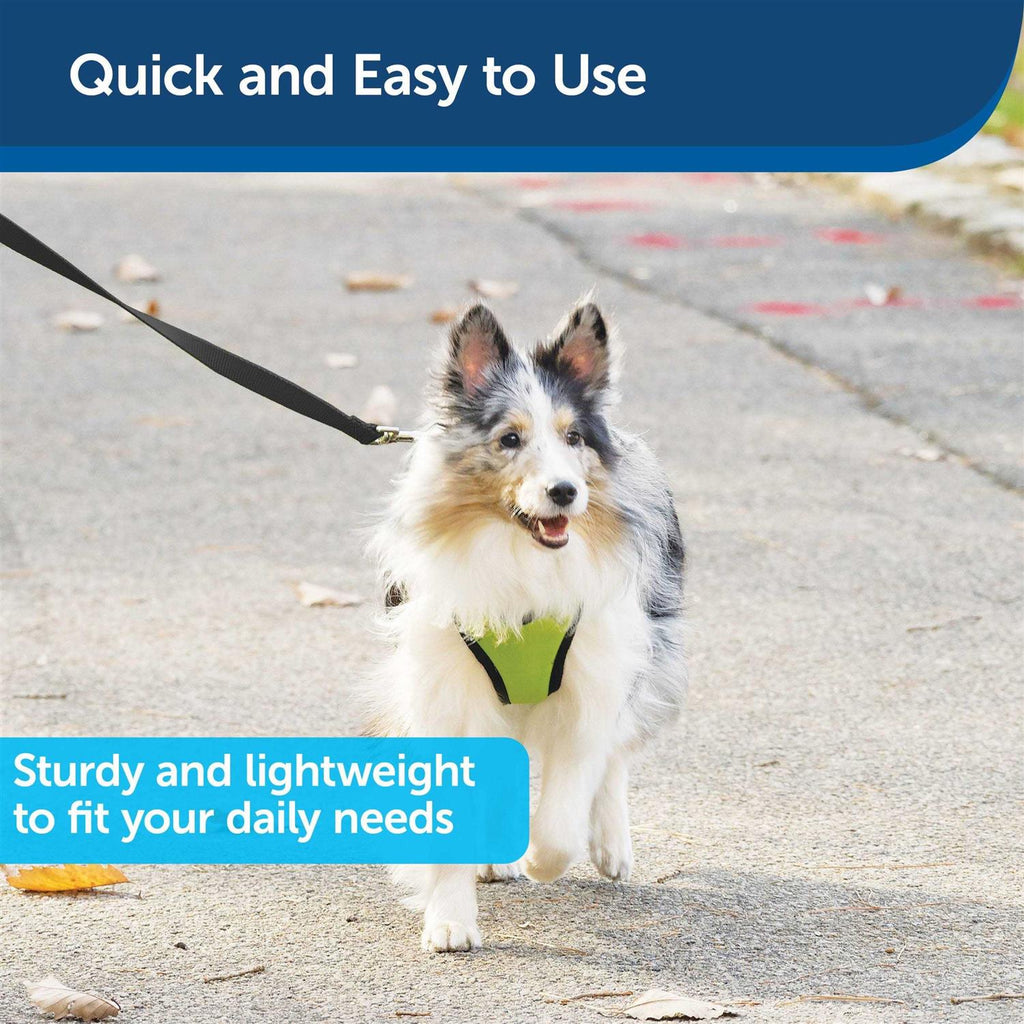 Nylon Dog Leash C218093