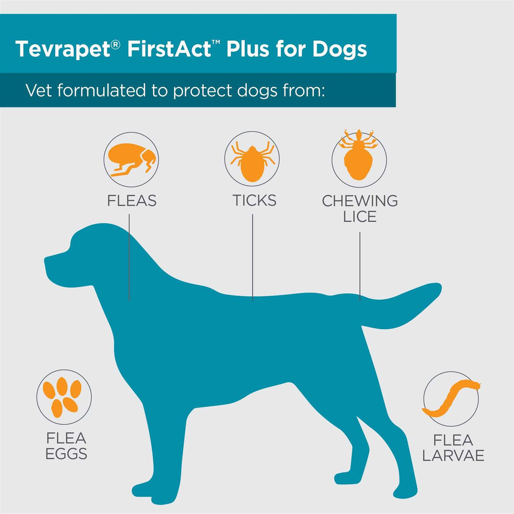 Flea and Tick Prevention Dogs K8670