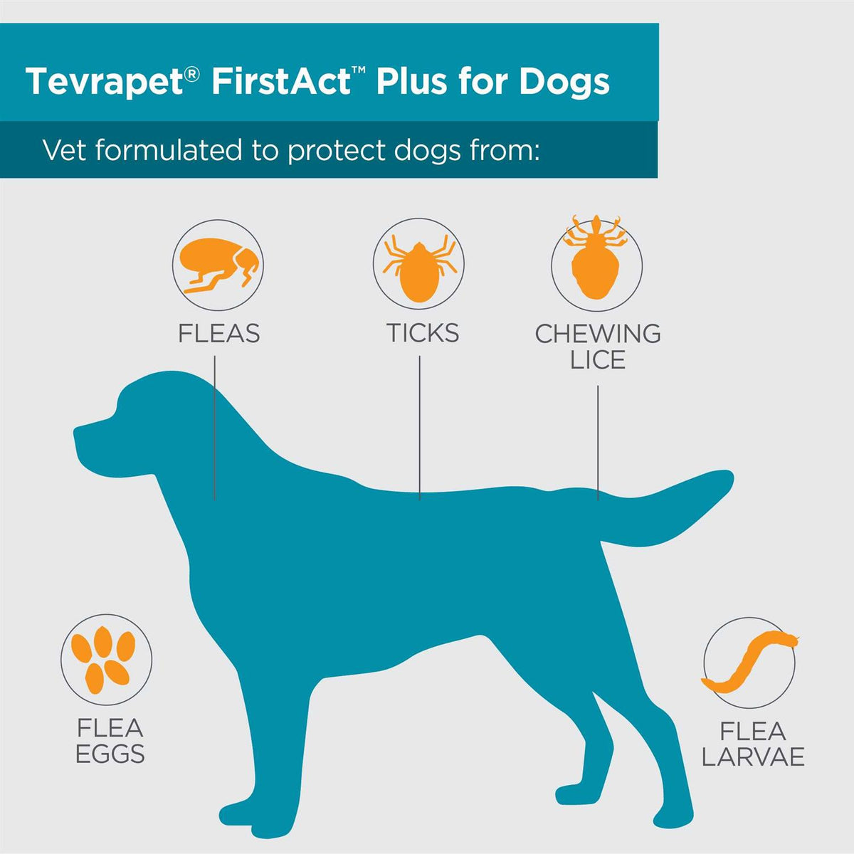 Flea and Tick Prevention Dogs K8670