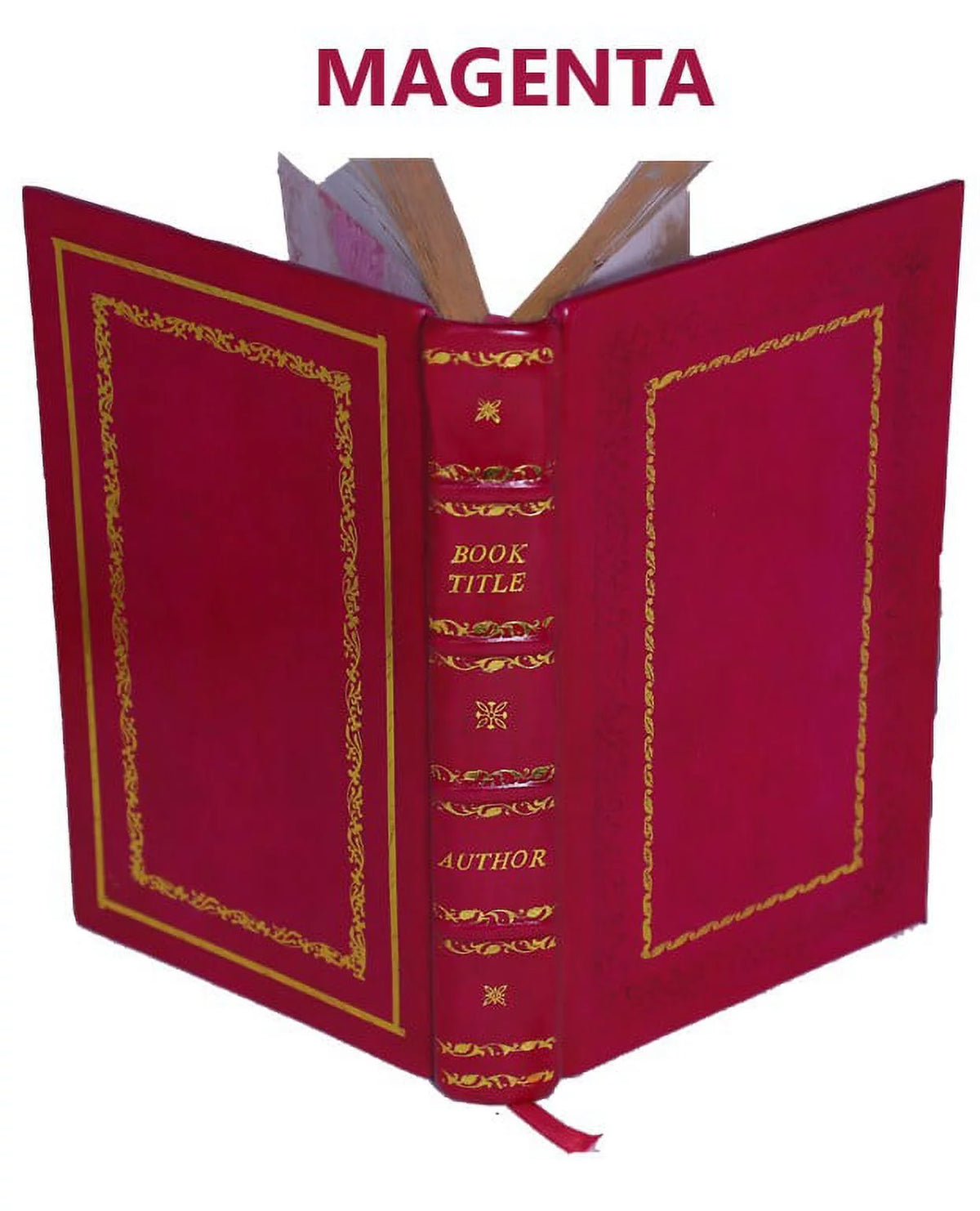 Hebrew Religious Scholastic Learning Survey M245718