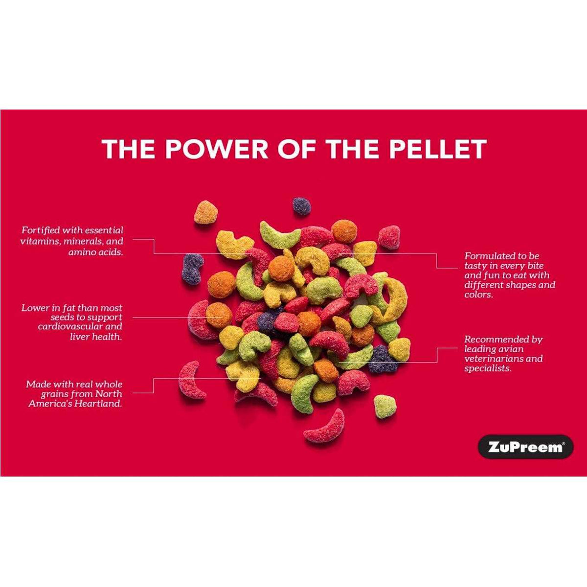FruitBlend Flavor Large Bird Food I63625