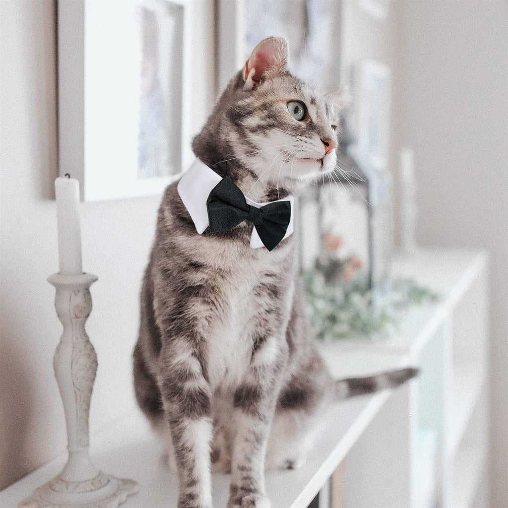 Dog Tuxedo Collar Bow Tie X8443