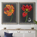 Framed Print S17151