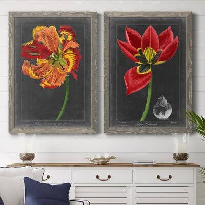 Framed Print S17151