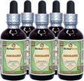 Jaborandi Dried Leaf Alcohol-Free Liquid Extract 5x2 oz D341522