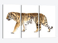 3-Piece Watercolor Tiger Canvas Print S884357