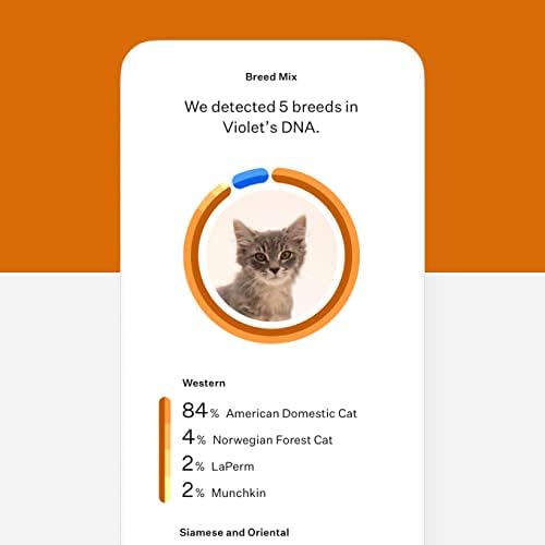 Cat DNA Test 1 Pack T469