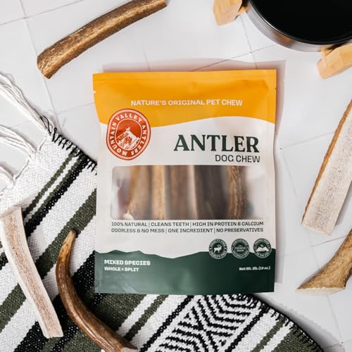 Mixed Species Antlers for Dogs 1 LB T127647
