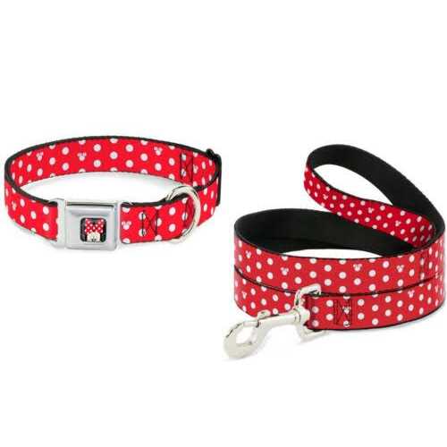 Dog Leash P33864