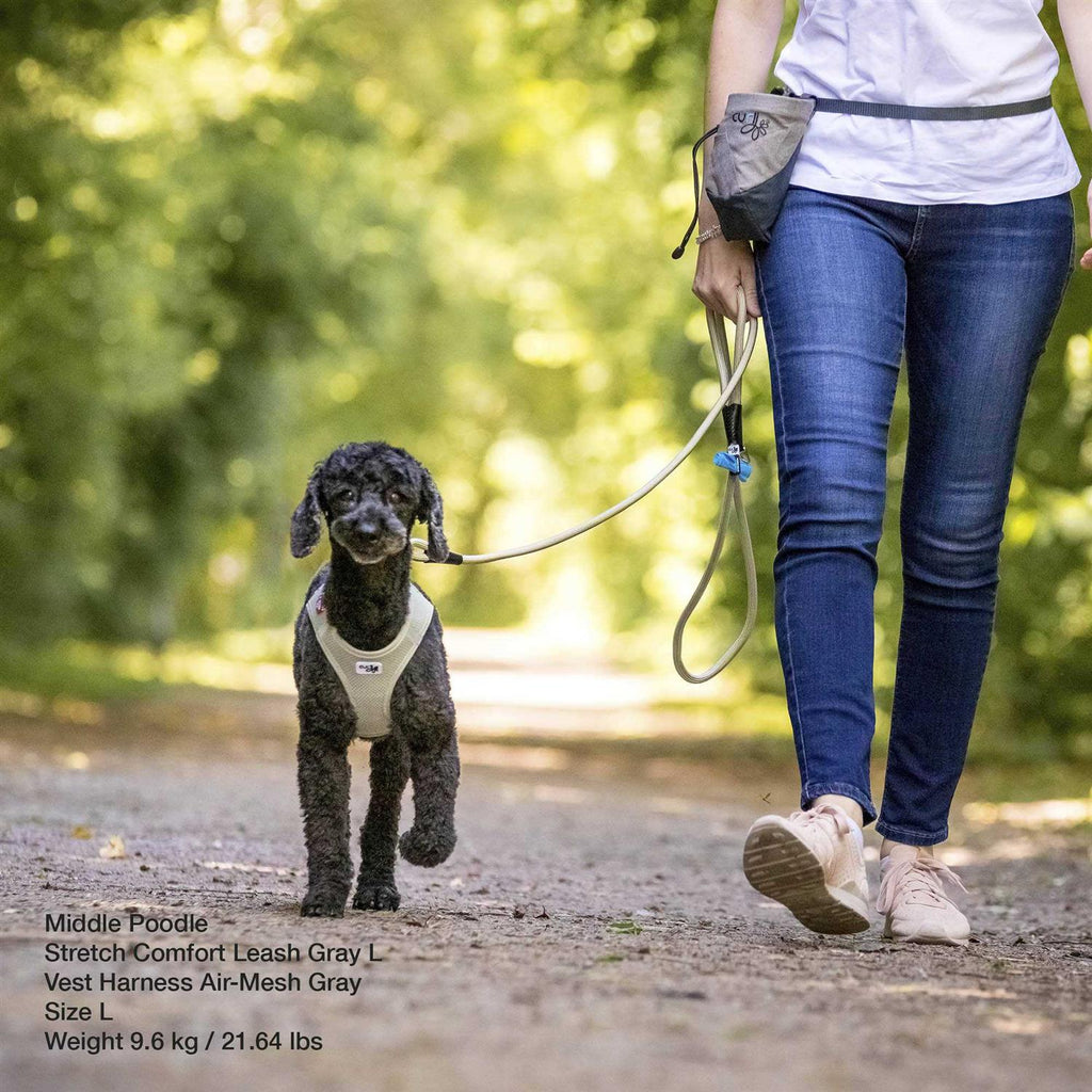 Comfort Leash H9421