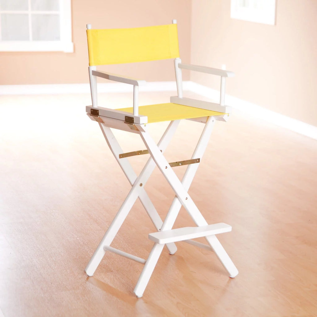 Director's Chair S49666