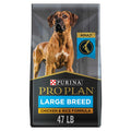 Chicken & Rice Formula Dry Dog Food Y365