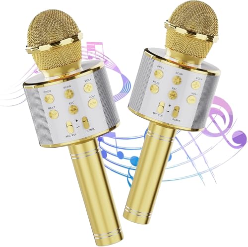 Wireless Bluetooth Karaoke Microphone 2 Pack Handheld Mic Speaker V867