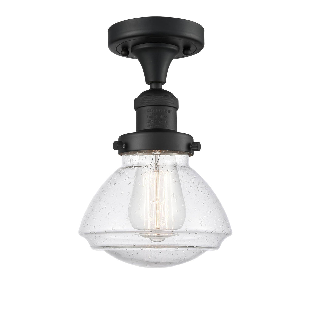 1 Light Semi-Flush Mount Matte Black M9209