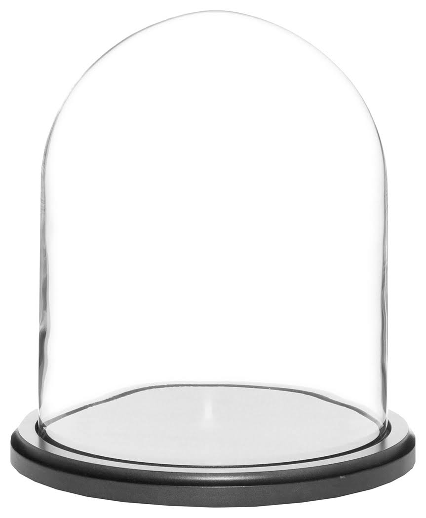 8" x 10.25" Glass Display Dome Cloche (Black Wood Base) I7390