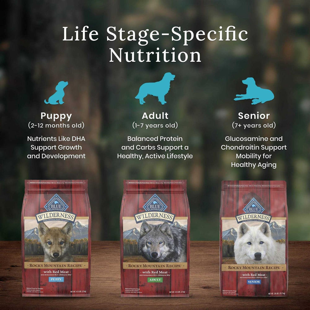 Dog Food O242305