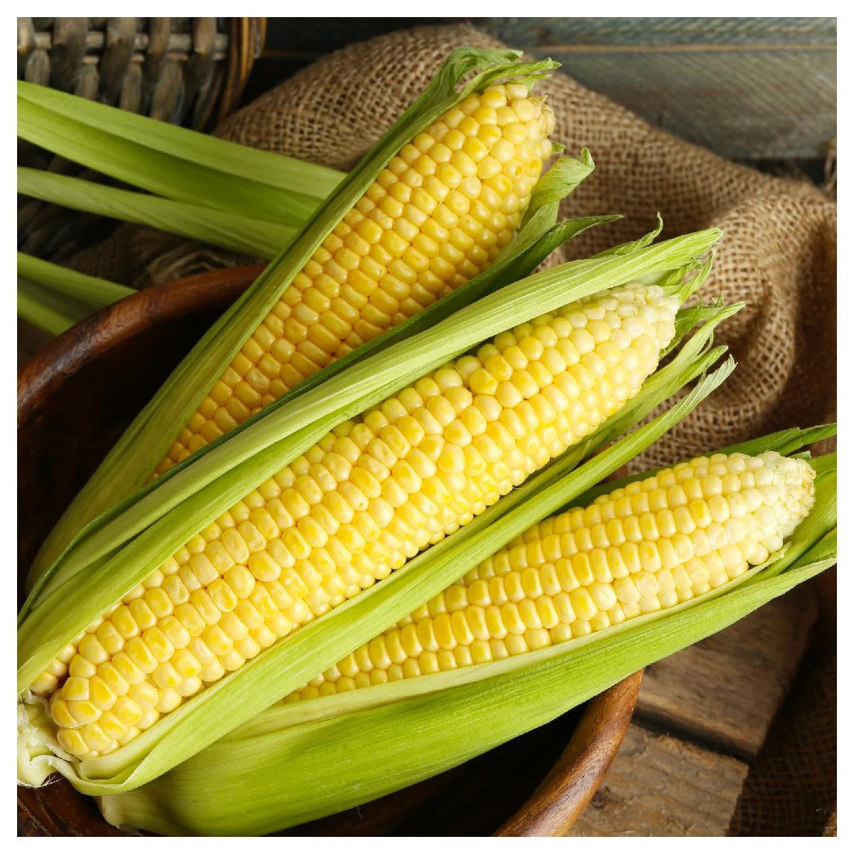 1 lb Yellow Sweet Corn Seeds T47460