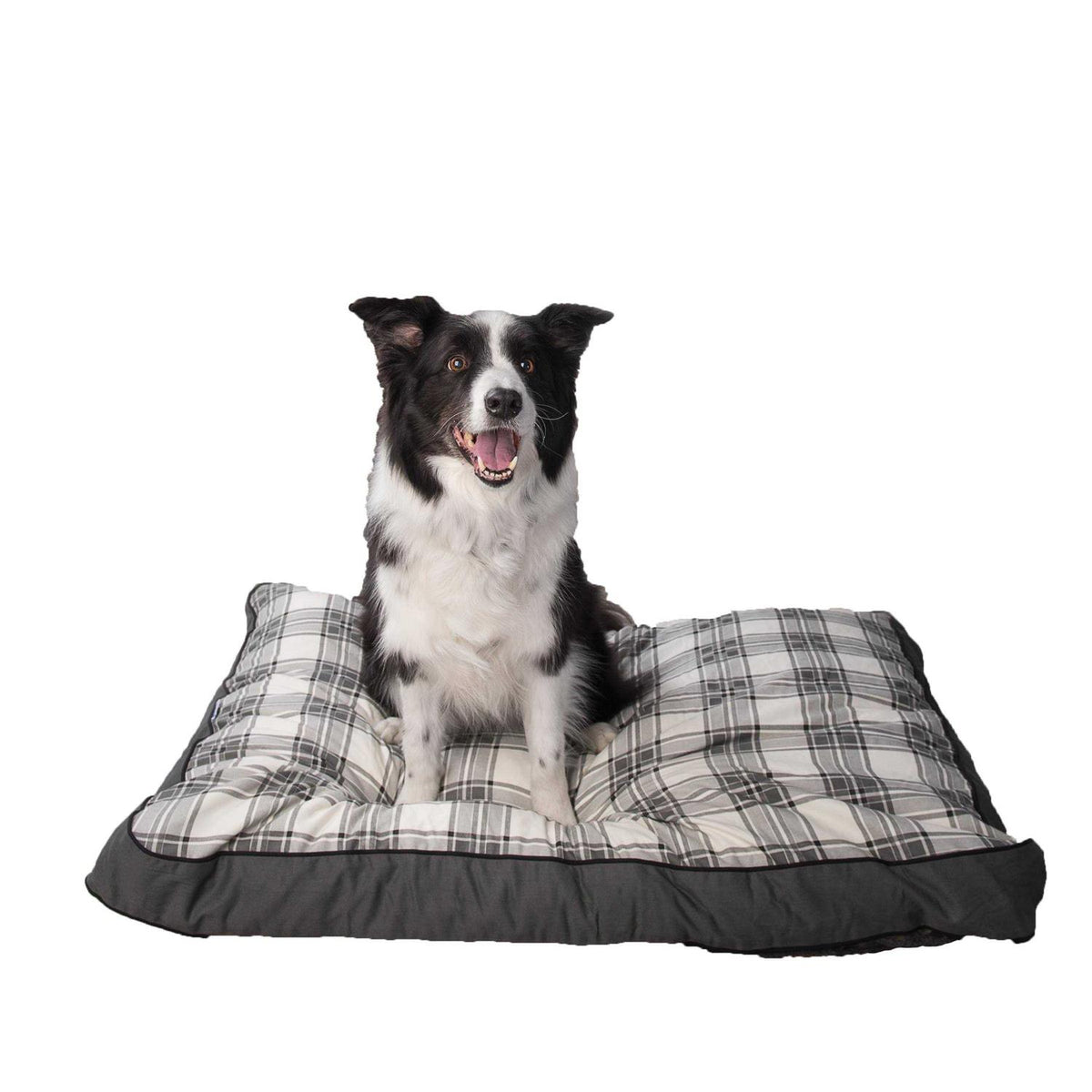 Dog Bed V578