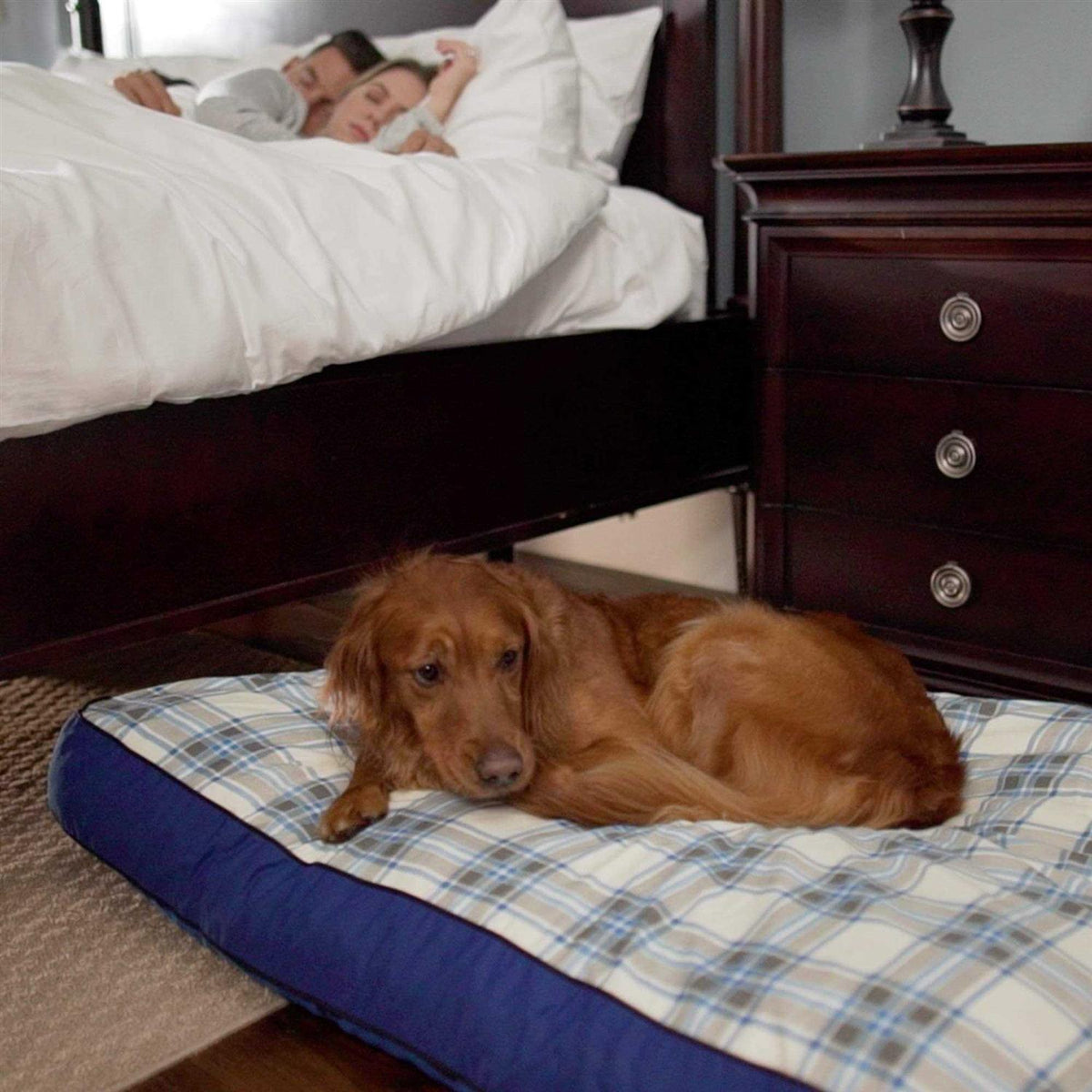 Dog Bed V578