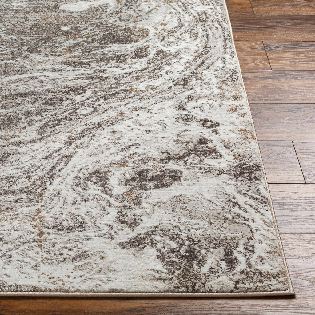 Gray Brown 9'2" x 12' Area Rug O1196