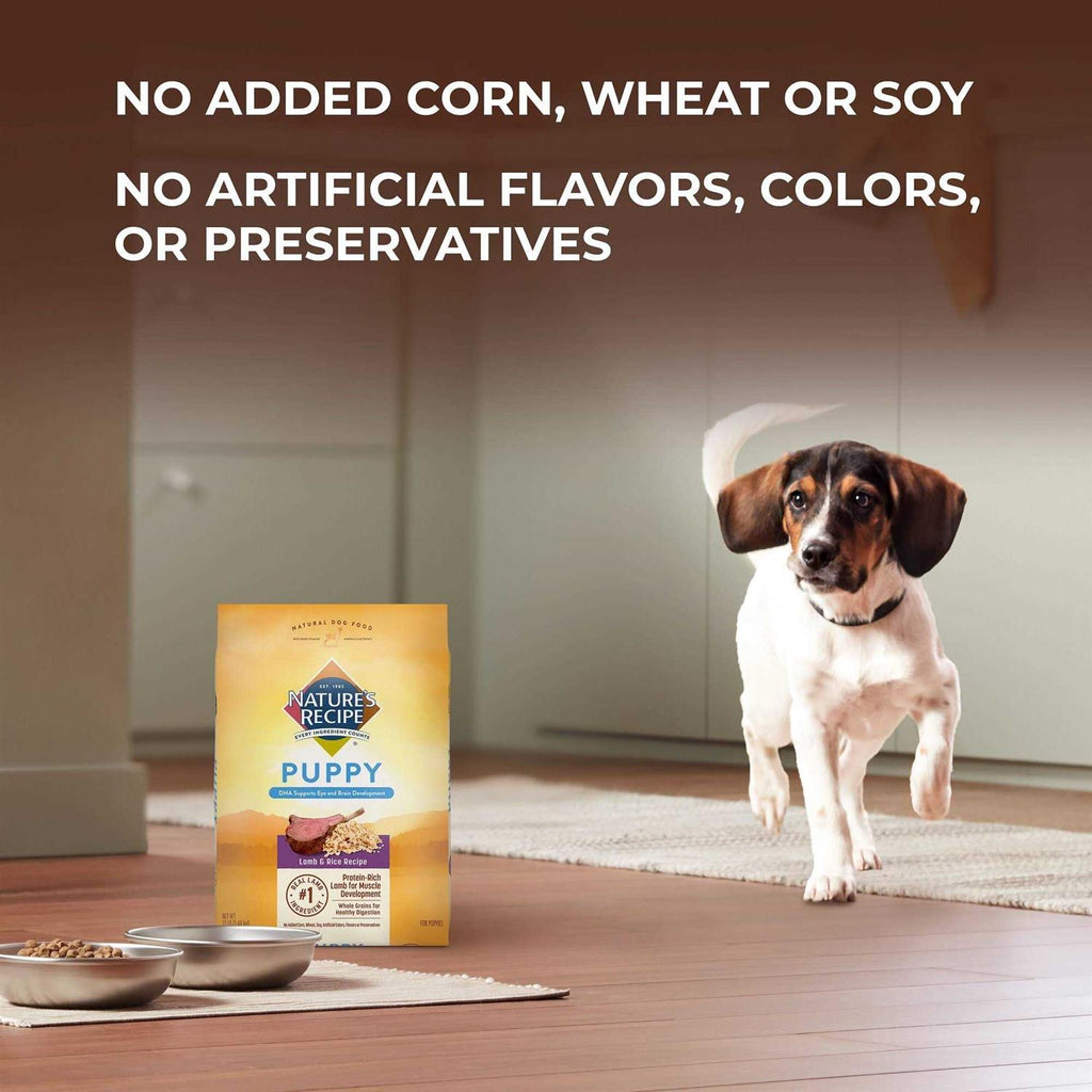 Lamb & Rice Puppy Dry Dog Food O114403