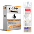 Home Paternity DNA Test Kit M2340