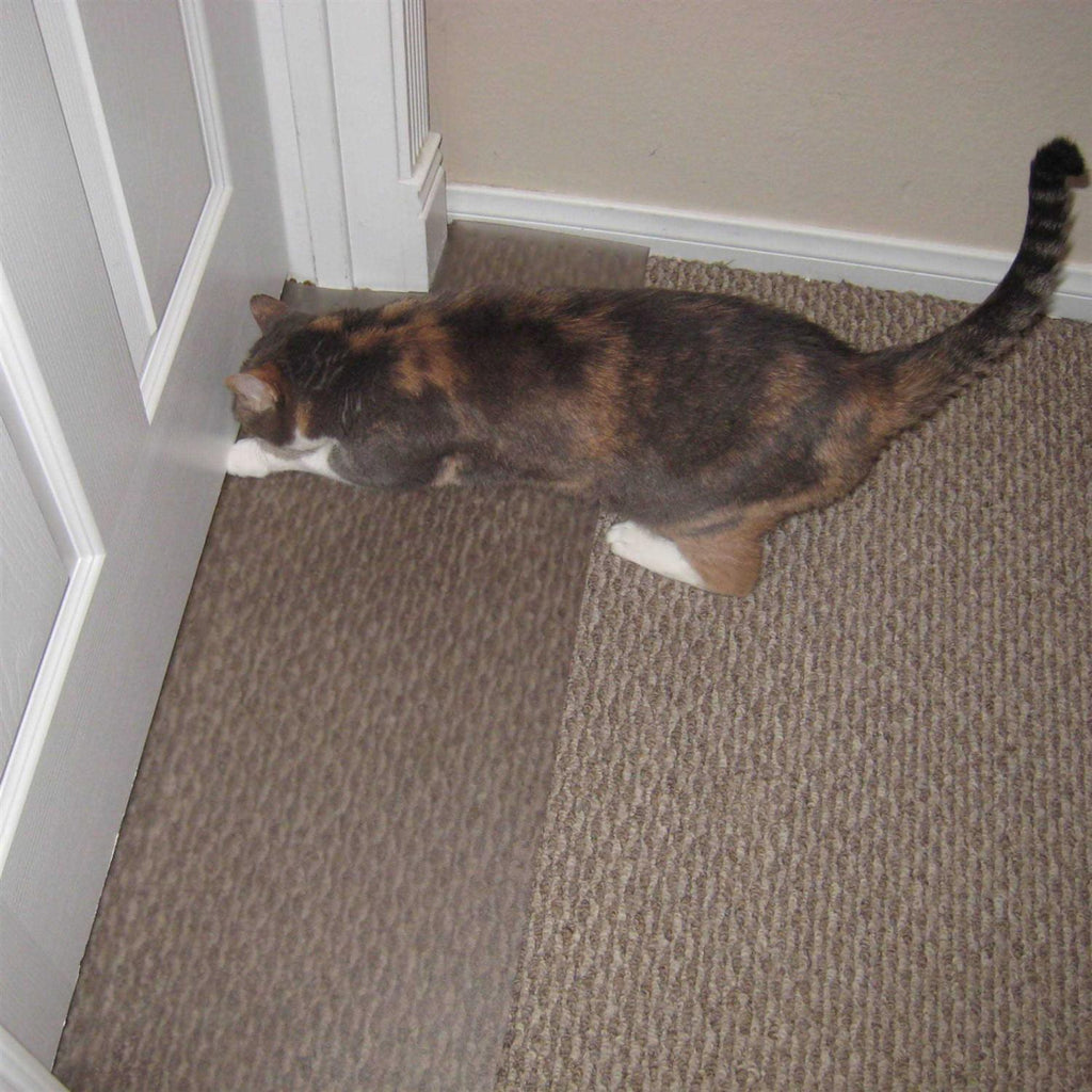 Carpet Scratch Stopper R621