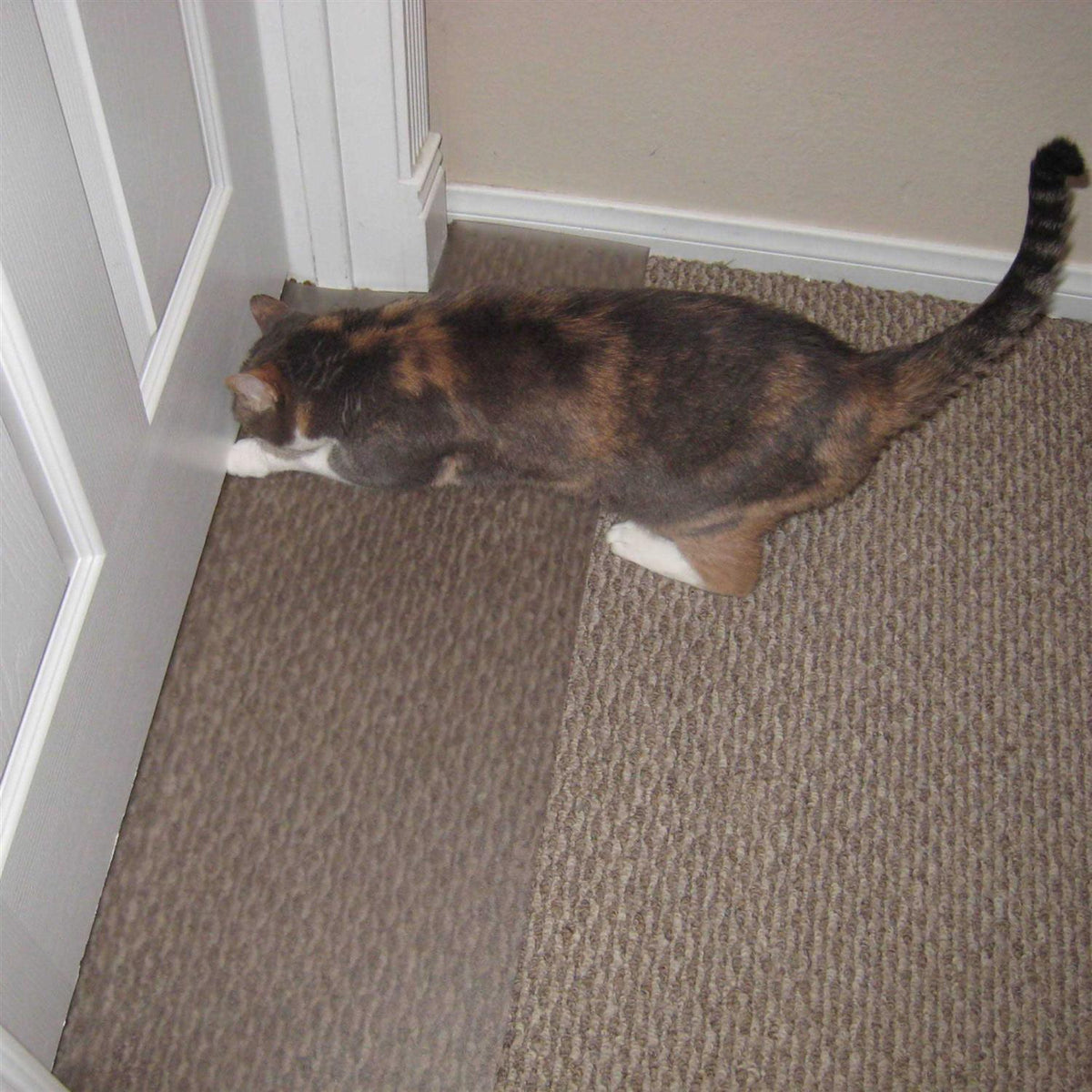 Carpet Scratch Stopper R621