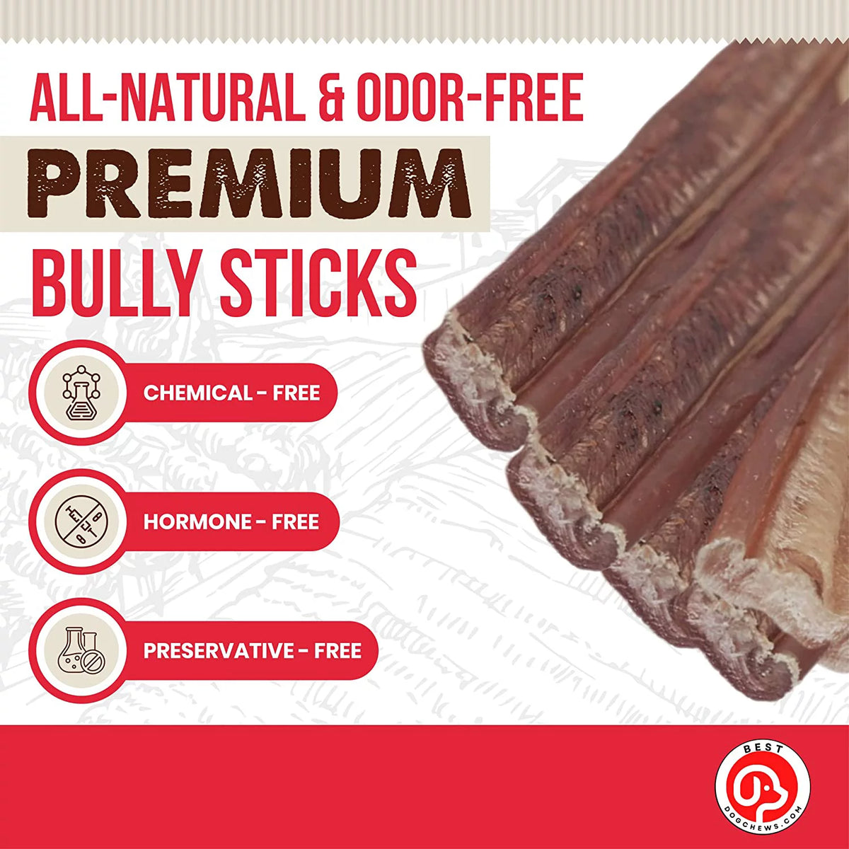 12 Inch 6 Count All Natural Grain Free Rawhide Free Beef Dog Chews D641