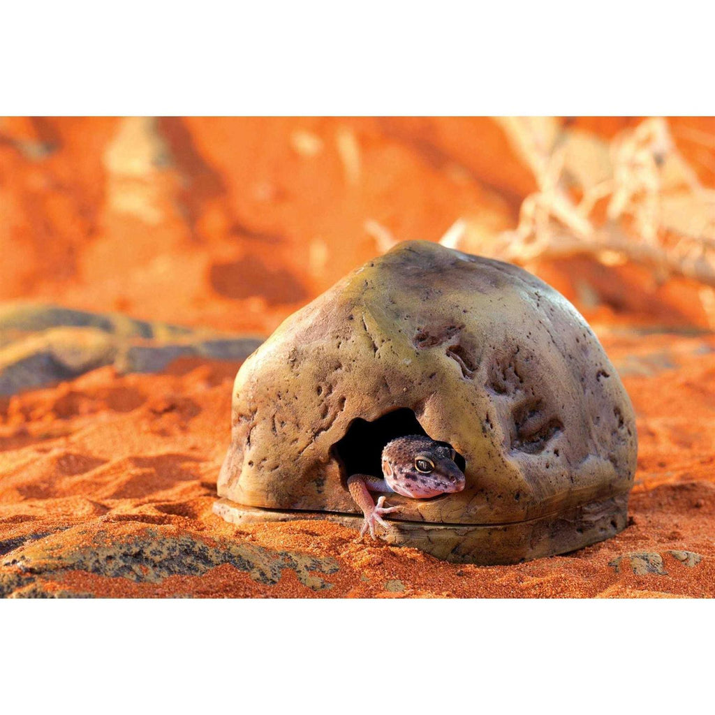 Gecko Cave L2695