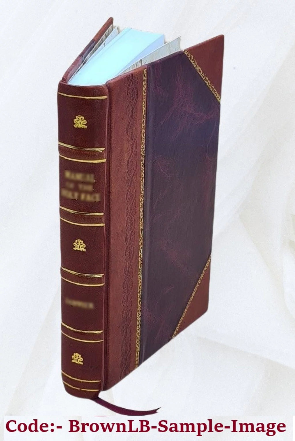 Evangelie in het licht van oude gegevens Leather Bound H29731
