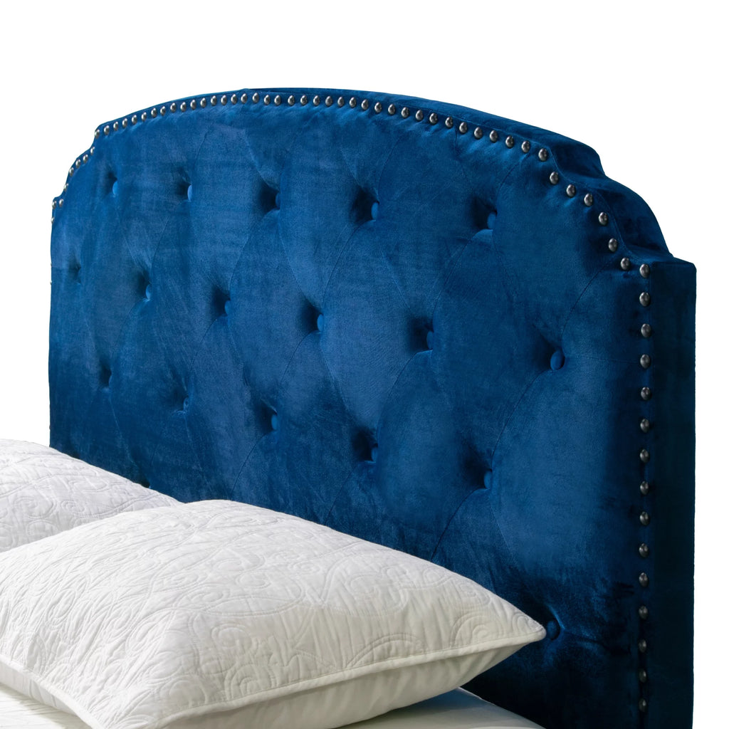 Queen Bed with Button Tufting and Nail Head Trim in Blue D81154