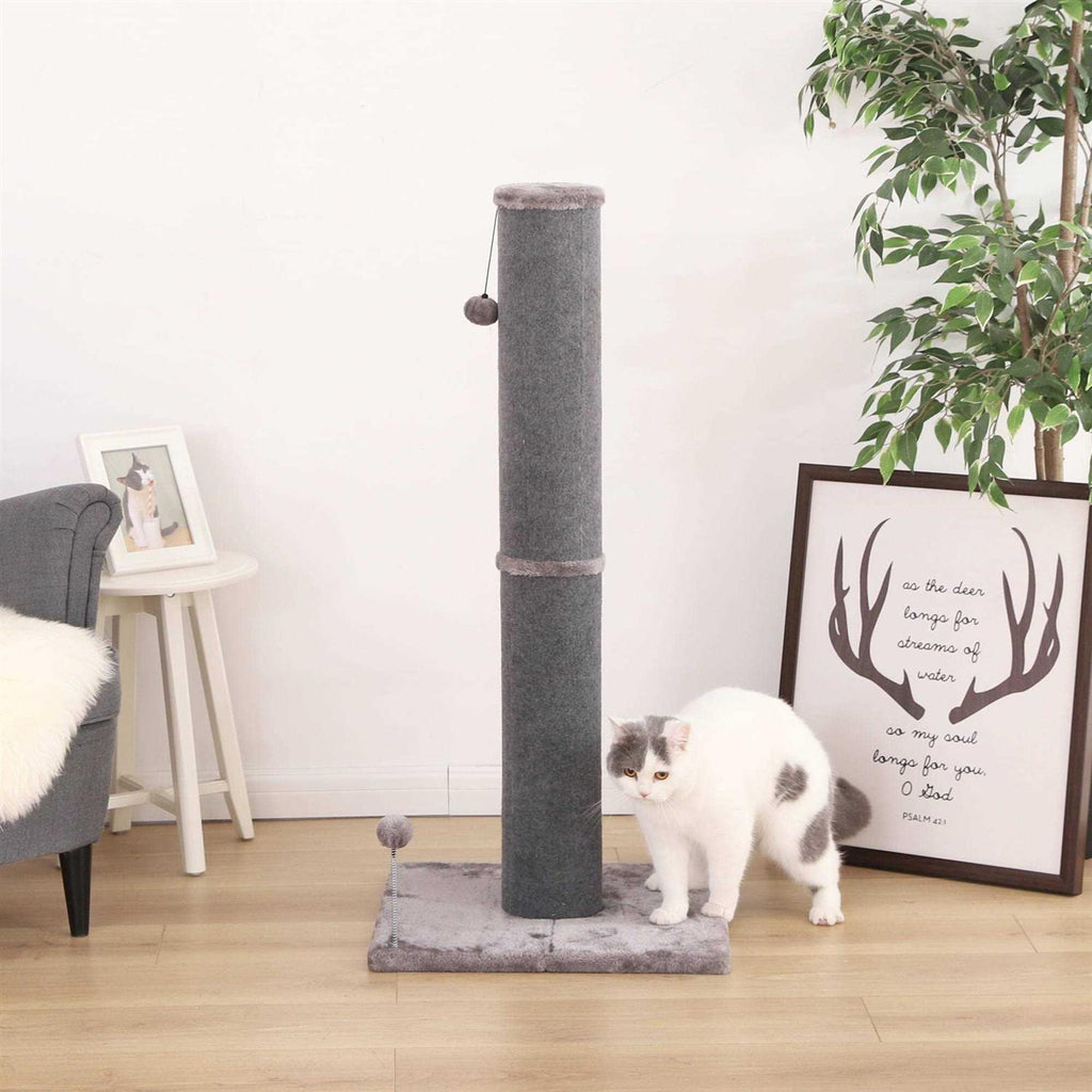 Cat Scratcher Q803