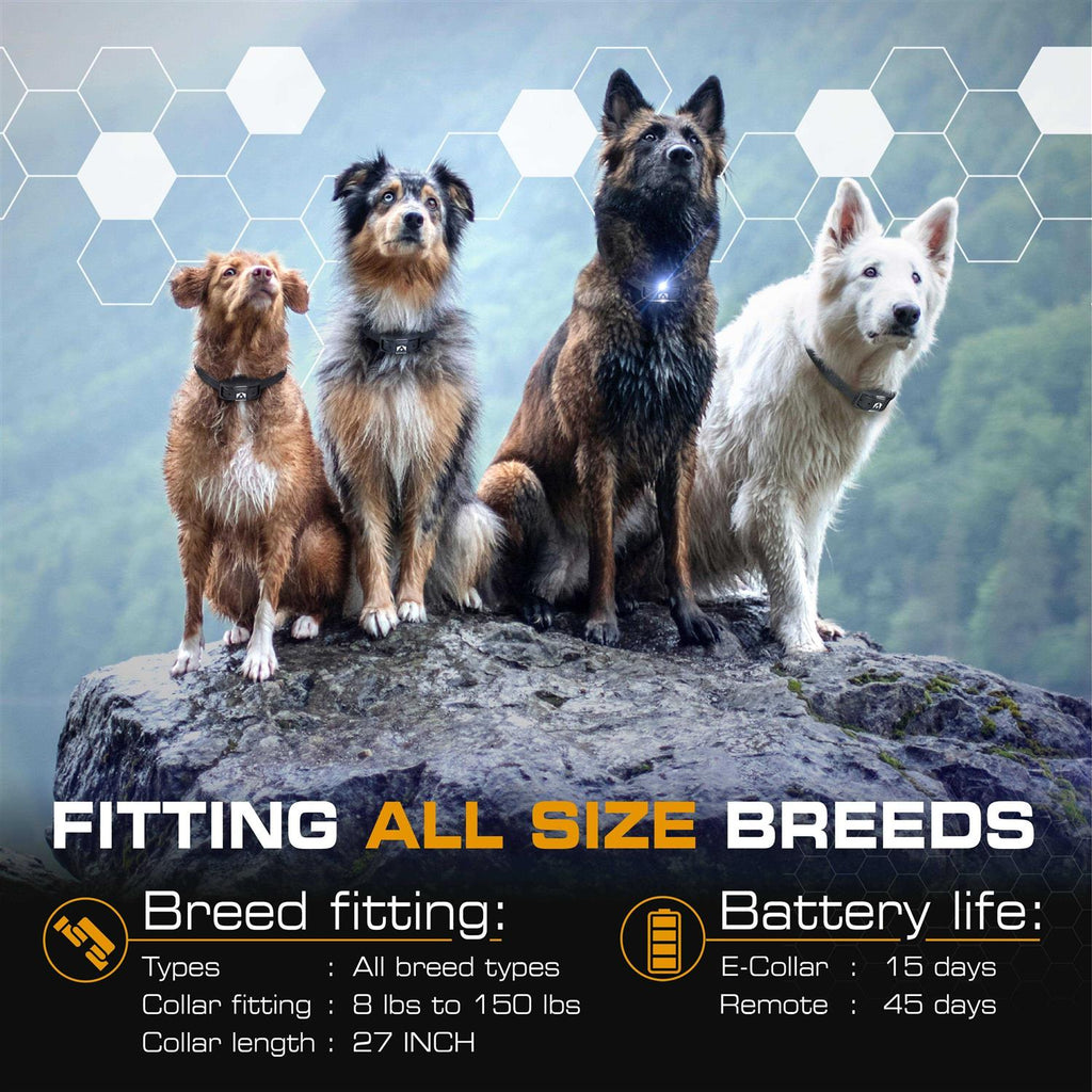 Dog Training Pet Supplies J366