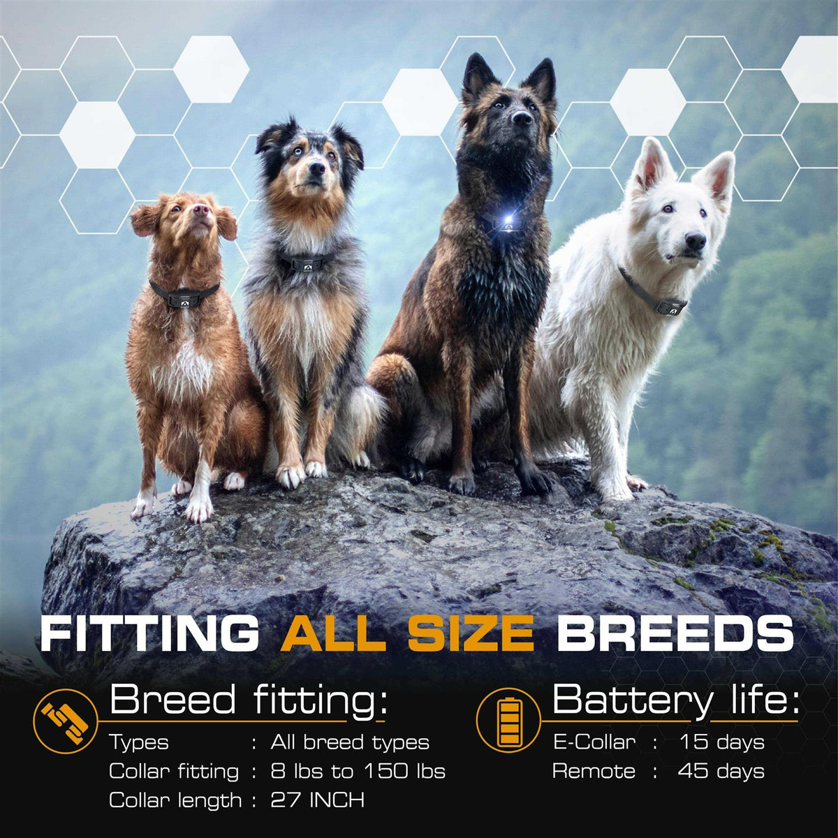 Dog Training Pet Supplies J366