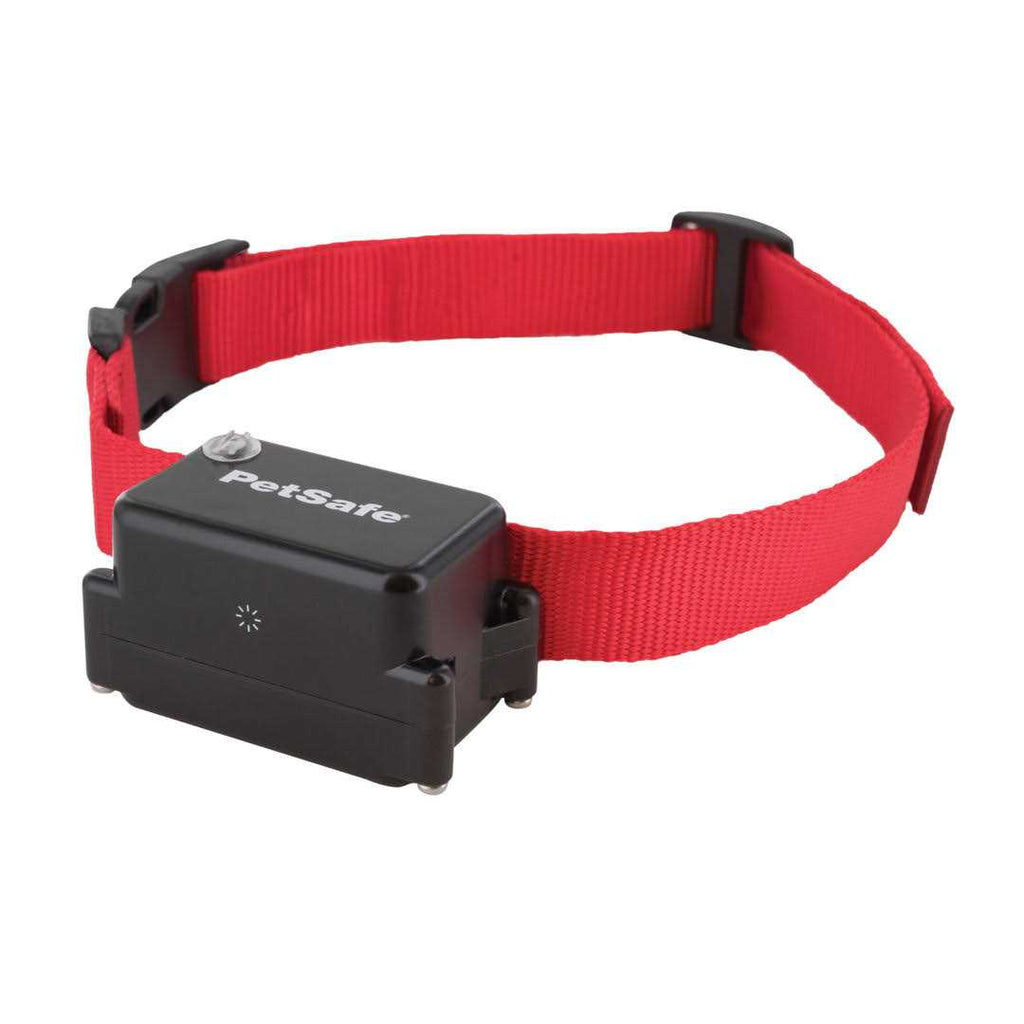 In-Ground Dog Fence R703757