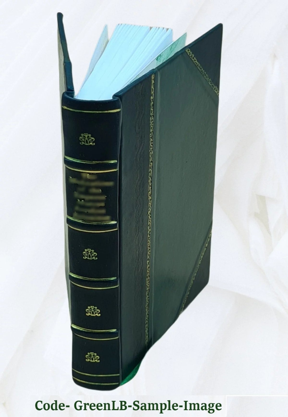 Evangelie in het licht van oude gegevens Leather Bound H29731