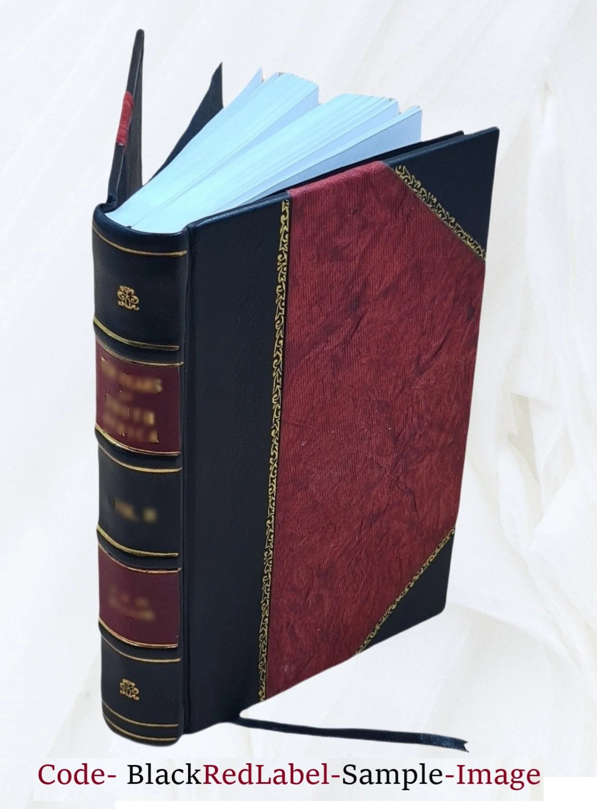 Evangelie in het licht van oude gegevens Leather Bound H29731
